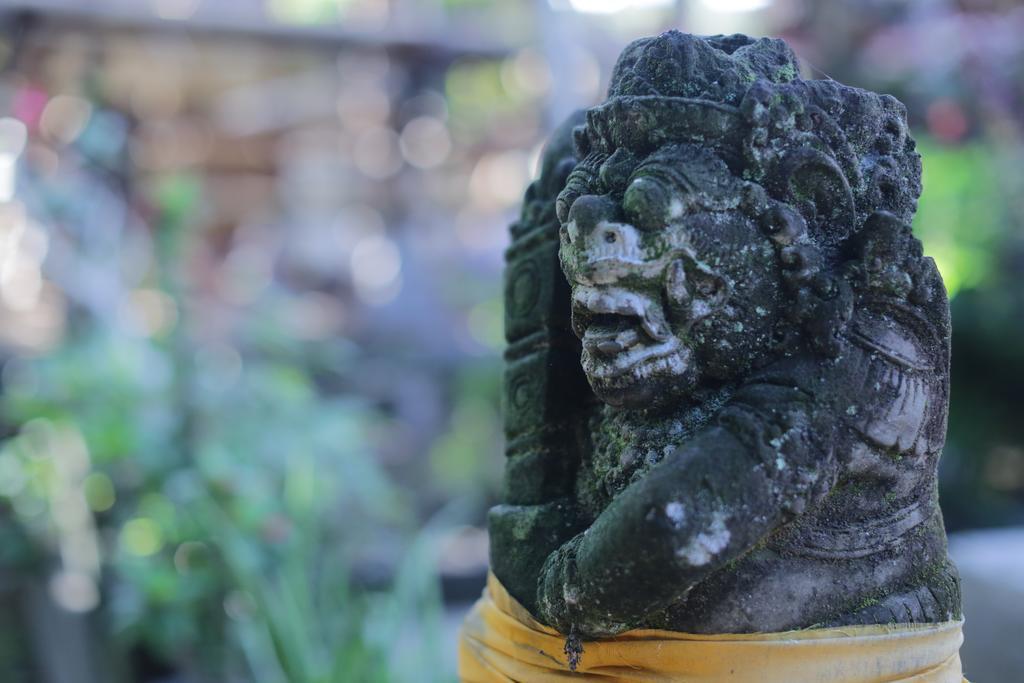 Karang Mesari Ubud Guest House ภายนอก รูปภาพ