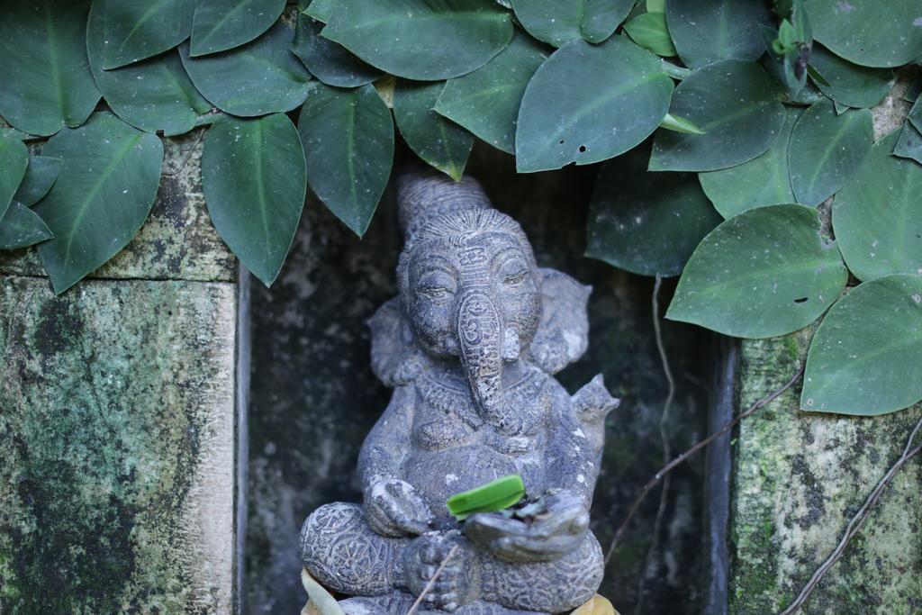 Karang Mesari Ubud Guest House ภายนอก รูปภาพ