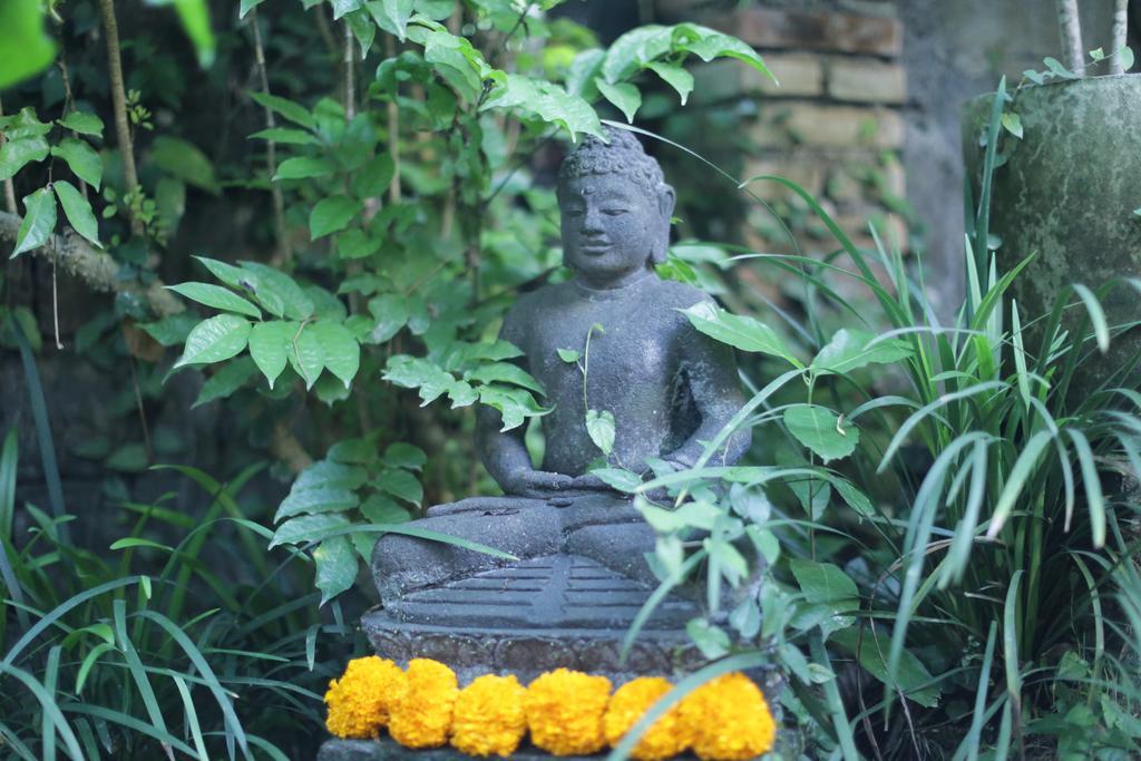 Karang Mesari Ubud Guest House ภายนอก รูปภาพ