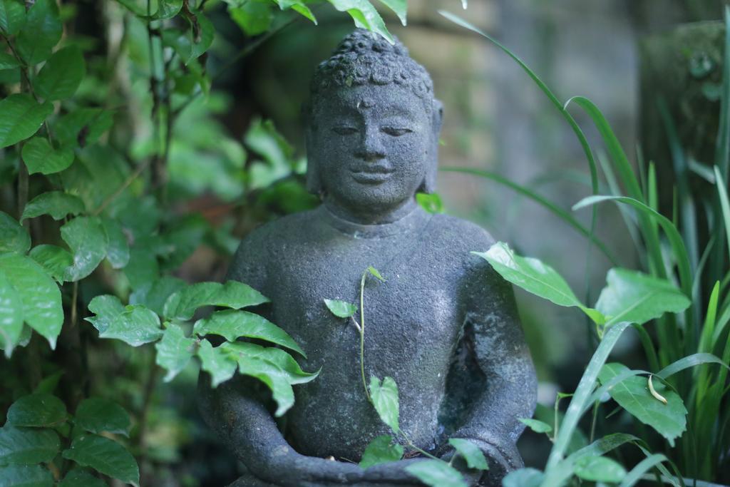 Karang Mesari Ubud Guest House ภายนอก รูปภาพ