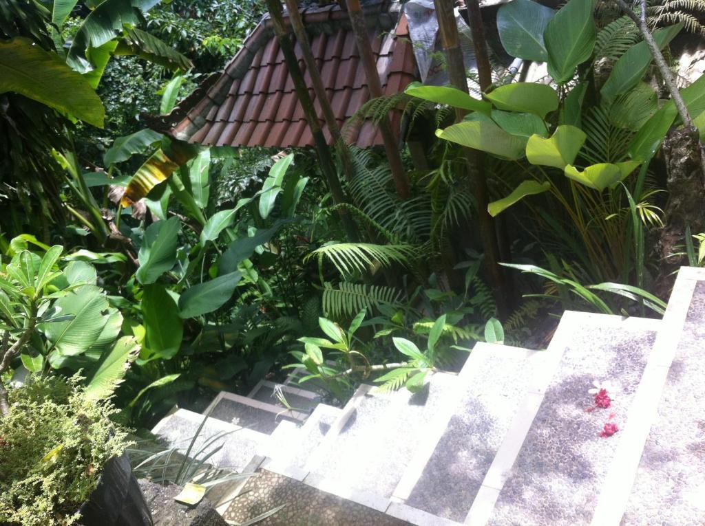 Karang Mesari Ubud Guest House ภายนอก รูปภาพ
