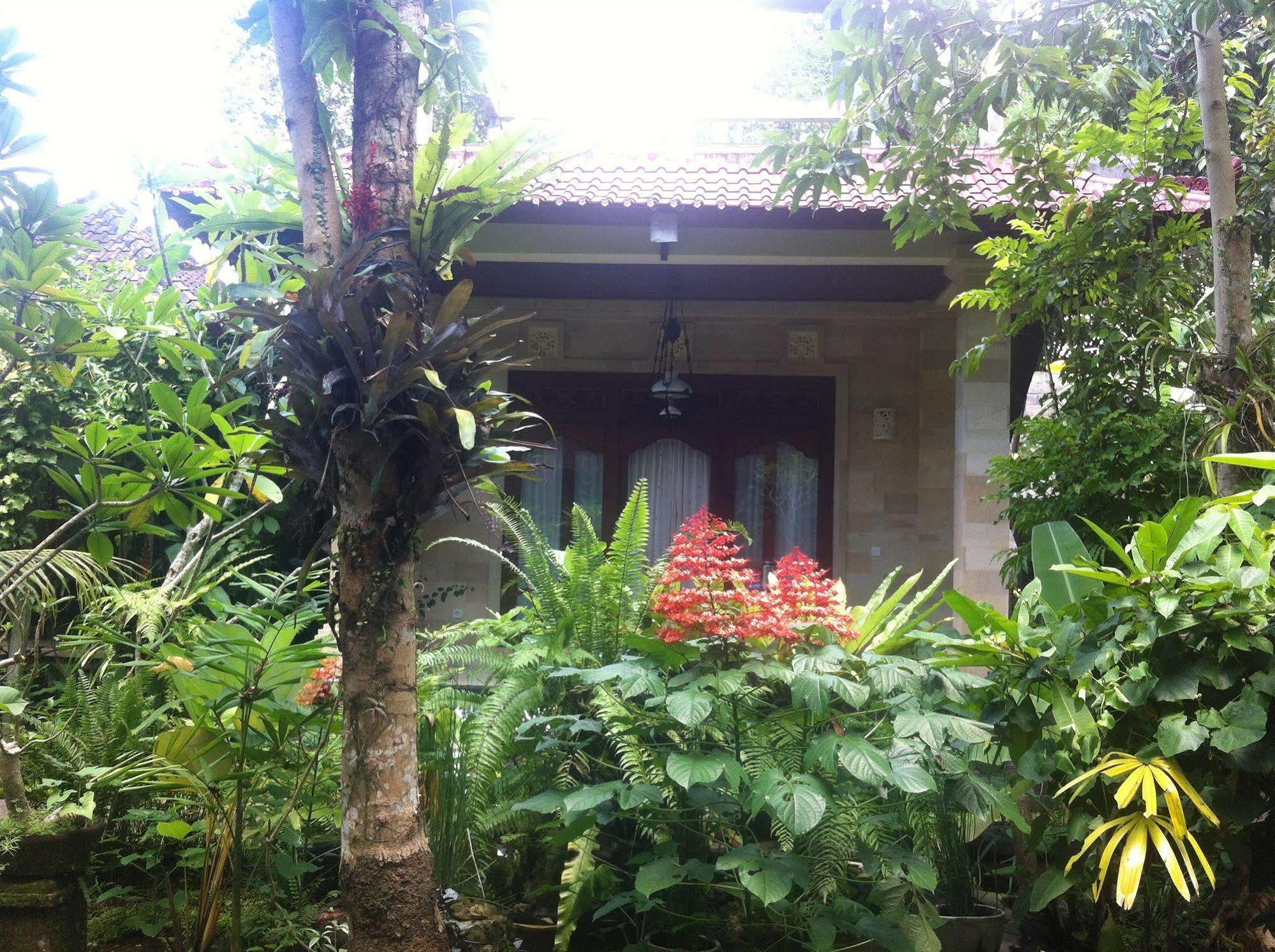 Karang Mesari Ubud Guest House ภายนอก รูปภาพ